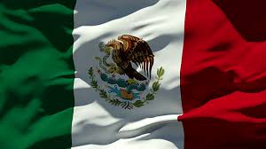 Mexican mining operations installs Telcosat Cell Phone boosters Mexico Flag